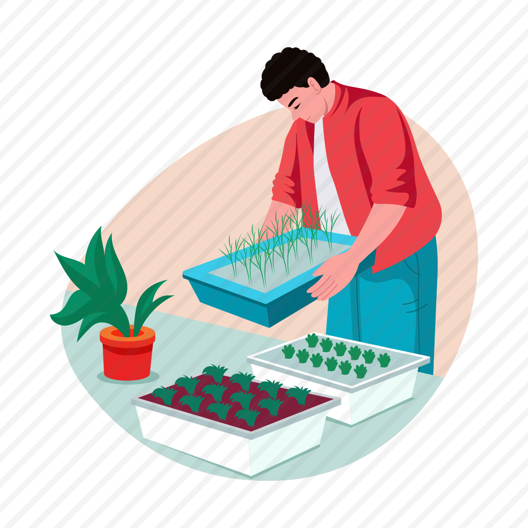 Growing Microgreens, Planting, Horticulture, Agriculturist, Ecologist preview