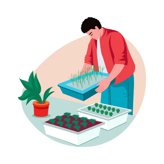 Growing Microgreens, Planting, Horticulture, Agriculturist, Ecologist illustration
