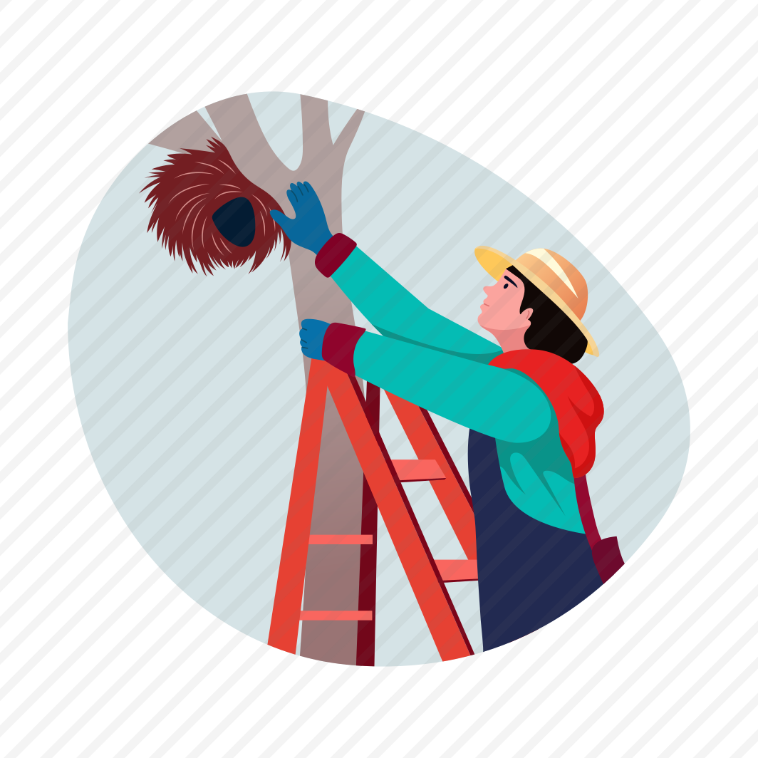 Nest Protection, Habitat, Wildlife, Rescue, Volunteering preview