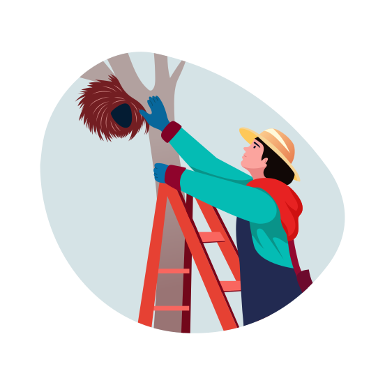 Nest Protection, Habitat, Wildlife, Rescue, Volunteering illustration