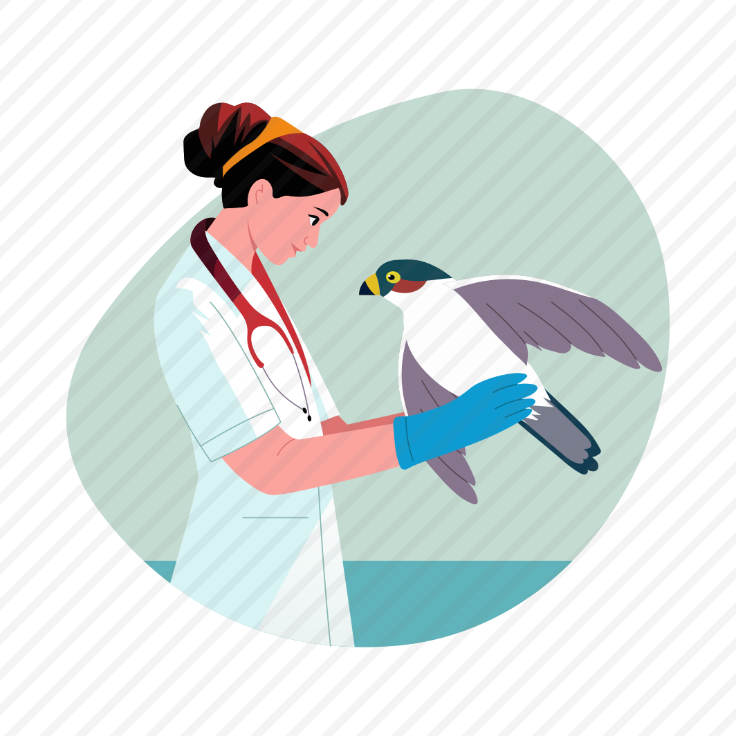 Wildlife Rehabilitation, Vet, Doctor, Animal Care, Protection, preview