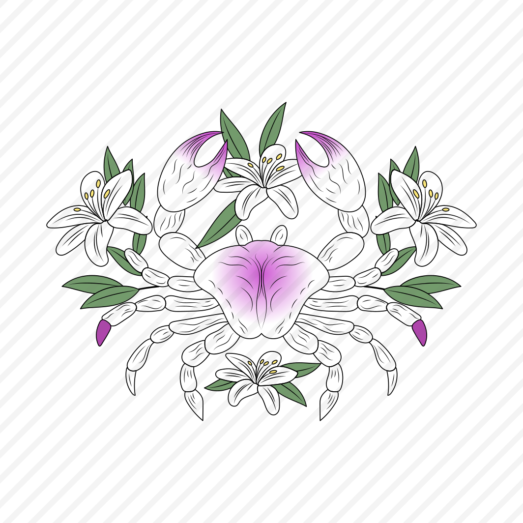 Crab, Crustacean, Animal, Zodiac, Sign preview