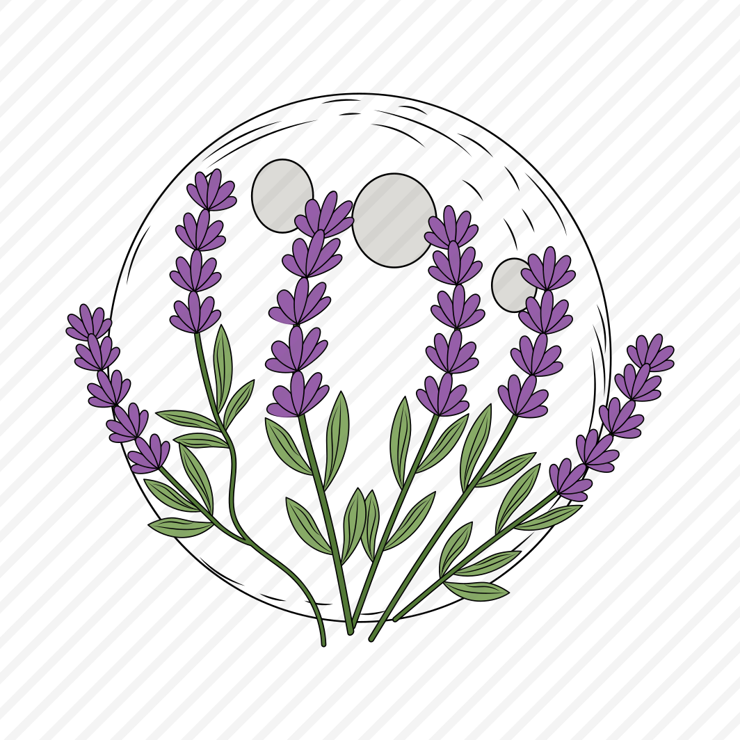 Lavender Flowers, Stems, Floral, Nature, Moon preview