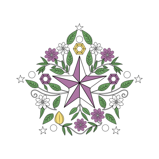 Mandala Star, Luminary, Celestial, Nature, Blooming, illustration