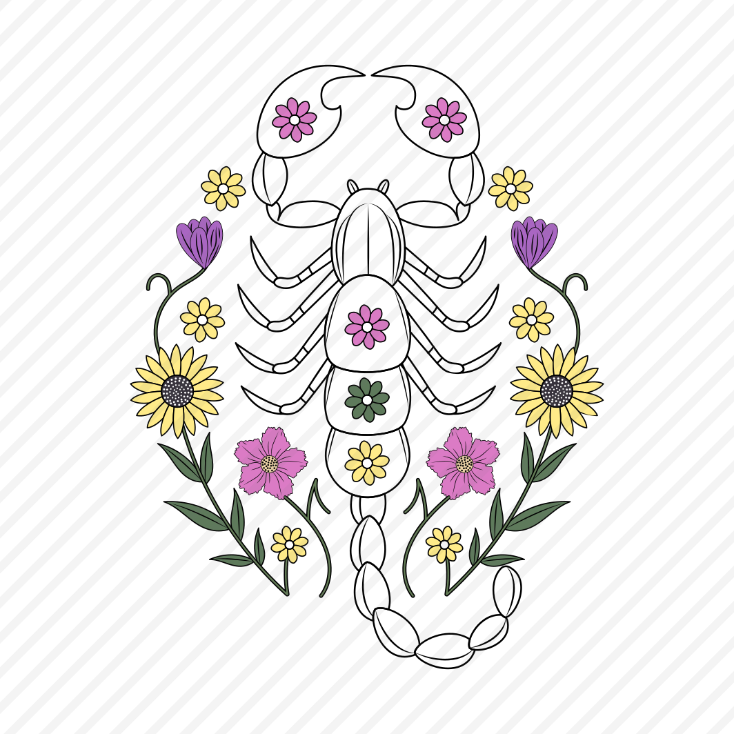 Scorpion, Arachnid, Stinger, Zodiac, Nature preview