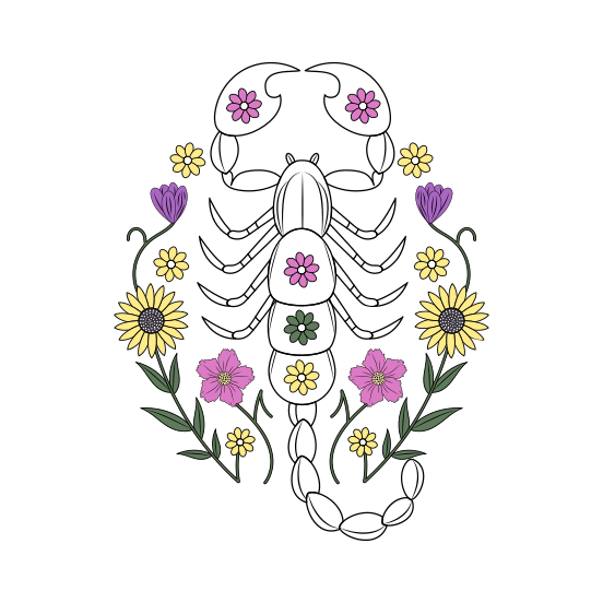 Scorpion, Arachnid, Stinger, Zodiac, Nature illustration