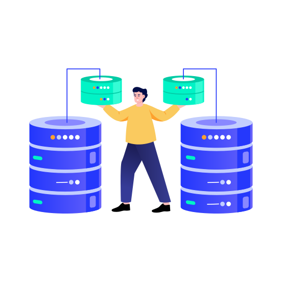 Data Management, Server, Storage, Network, System illustration