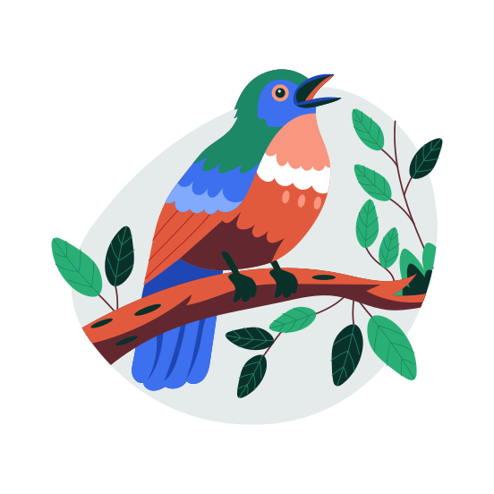 Bird, Sparrow, Chirping, Aves, Passeridae illustration