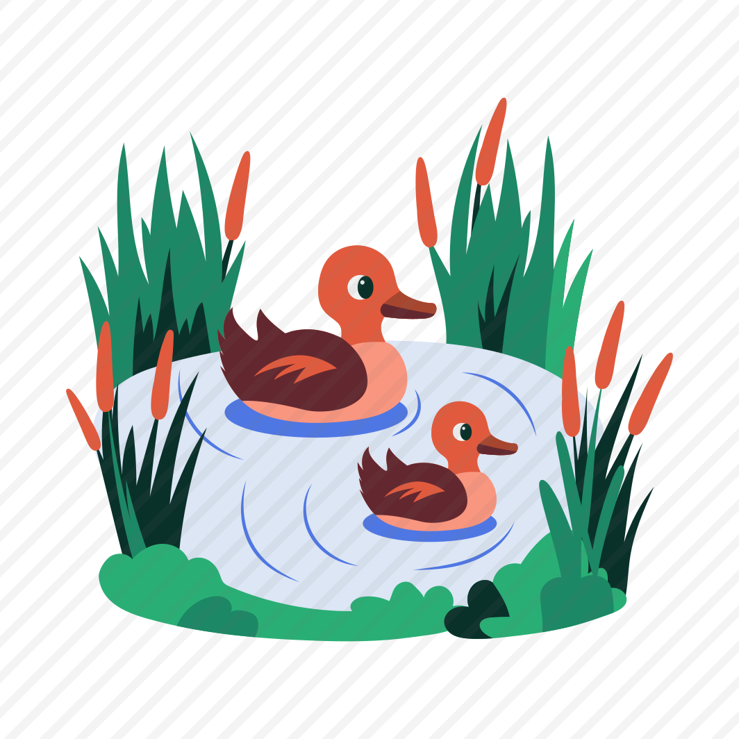 Duck Pond, Ducklings, Anatidae, Mallards, Birds preview