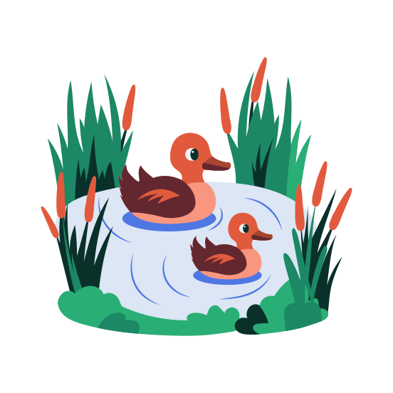 Duck Pond, Ducklings, Anatidae, Mallards, Birds illustration