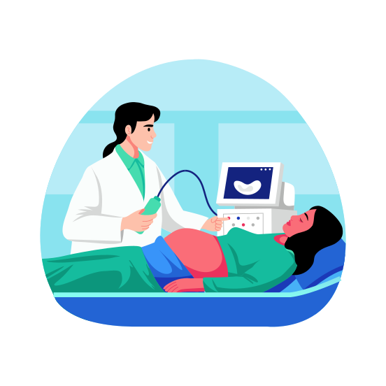 Ultrasound, Sonogram, Echography, Scan, Radiology, illustration