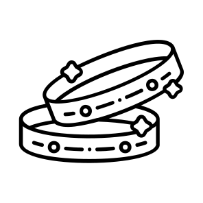    Bangle Jewelry  icon