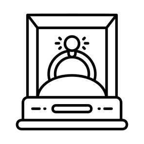    Ring In The Display Case icon