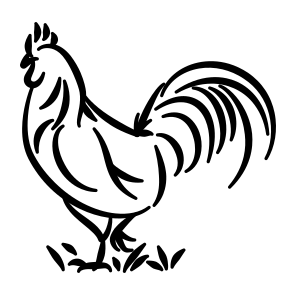 Rooster  Bird  Animal  Farm  Chicken  Nature  Crow  Morning  Rural  Poultry icon