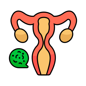 Ovary, Female Reproductive Organ, Fallopian Tube, Cervix, Uterus icon