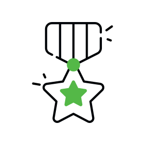 Military Badge, Star Badge, Ranking Badge, Rating Badge, Ribbon Badge  icon