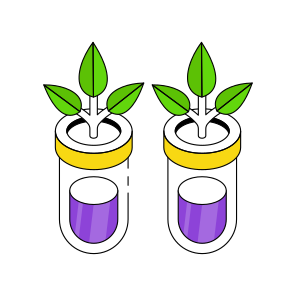 Botanical Tubes, Experiment, Lab Apparatus, Lab Equipment, Sample Tubes  icon