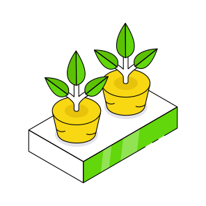 Indoor Plants, Decorative Plants, Houseplants, Potted Plants, Nature  icon