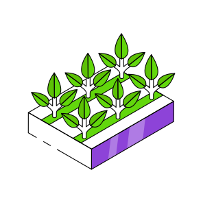 Mud Plant, Sprout, Growing Plant, Farming, Agriculture icon