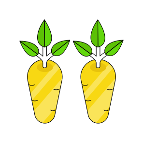 Radish, Vegetable, Food, Edible, Vegetable, icon
