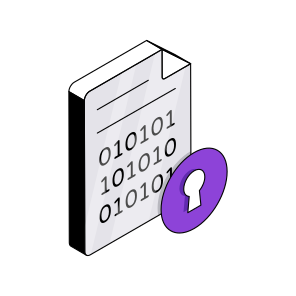 Secure Binary File, Binary Data, Secure Binary Code, Binary Data Security, Binary Data Protection  icon