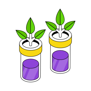 Botanical Tube, Experiment, Lab Apparatus, Lab Equipment, Test Tube  icon
