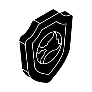 Global Security, International Security, Foreign Security, Global Protection, World Security icon