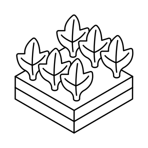 Trees, Botany, Forestland, Woodland, Ecology icon