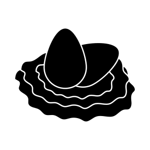 Eggs, Healthy Diet, Healthy Meal, Nutritious Diet, Eggshells icon