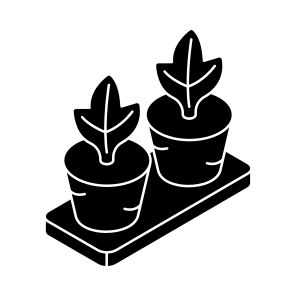 Indoor Plant, Decorative Plant, Houseplant, Potted Plant, Nature icon