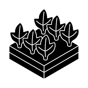 Trees, Botany, Forestland, Woodland, Ecology icon