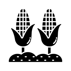 Corn, Corn Cobs, Maize, Cereal, Food, icon