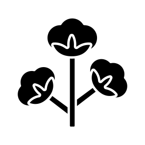 Cotton Flower, Cotton Plant, Gossypium, Malvaceae, Nature icon