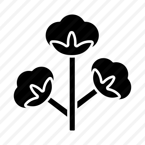 Cotton Flower, Cotton Plant, Gossypium, Malvaceae, Nature preview