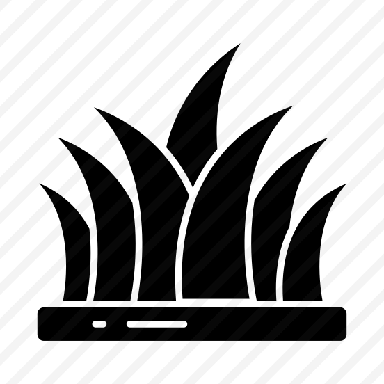 Grass, Grassland, Greenery, Pasture, Meadow,  preview