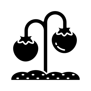 Growing Plant, Sprout, Tomato Plant, Farming, Agriculture icon
