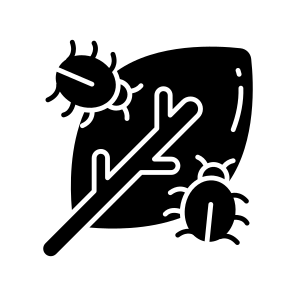 Leaf Bug, Leaf Insect, Infected Leaf, Leaflet, Crop Bug icon
