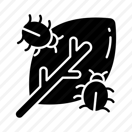 Leaf Bug, Leaf Insect, Infected Leaf, Leaflet, Crop Bug preview