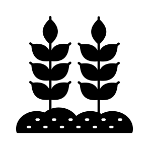 Mud Plant, Sprout, Growing Plant, Farming, Agriculture icon