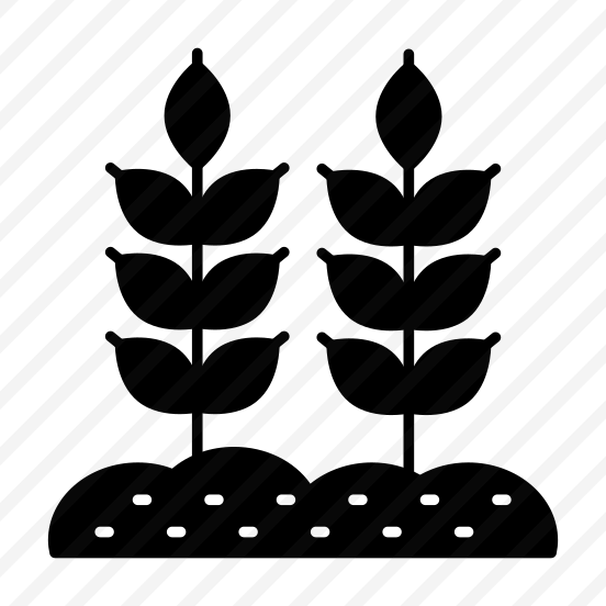 Mud Plant, Sprout, Growing Plant, Farming, Agriculture, preview