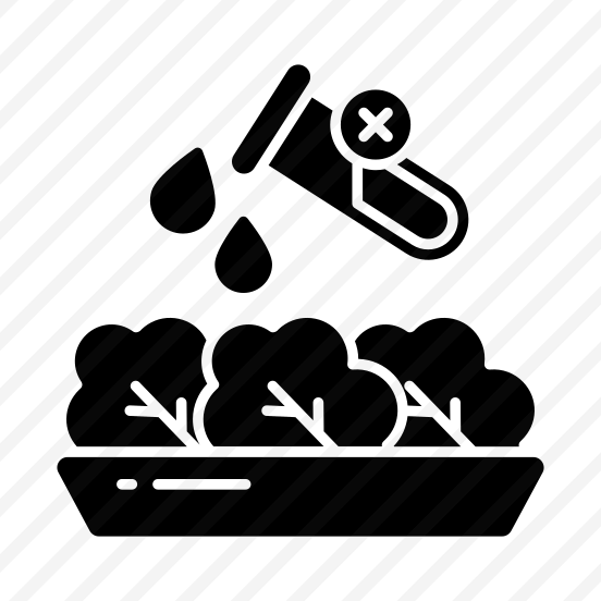 No Chemical Food, Organic Food, Healthy Food, Edible, No Chemical Additive  preview