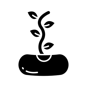 Seedling, Sapling, Sprout, Sowing, Legume icon