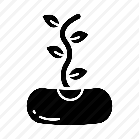 Seedling, Sapling, Sprout, Sowing, Legume preview