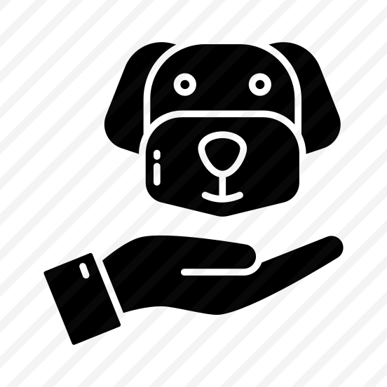 Dog Care, Pet Care, Animal, Specie, Creature  preview