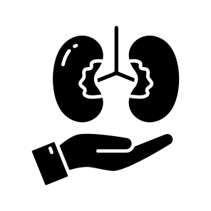 Kidney Donation, Charity, Grant, Giving Kidney, Contribution icon