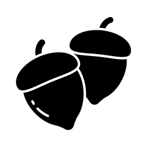 Acorn, Fruit, Edible, Nutrition Diet, Healthy Meal, icon