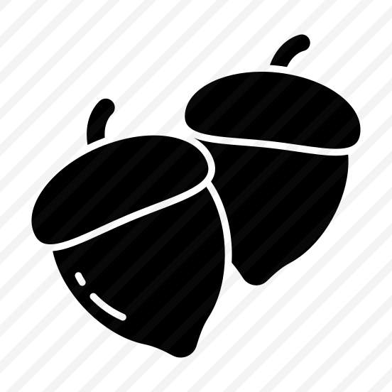 Acorn, Fruit, Edible, Nutrition Diet, Healthy Meal,  preview