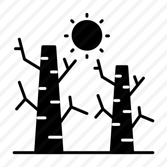 Drought, Dry Spell, Natural Disaster, Dead Plants, Dry Weather,  preview