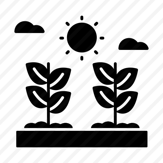 Mud Plants, Sprout, Growing Plants, Farming, Agriculture preview