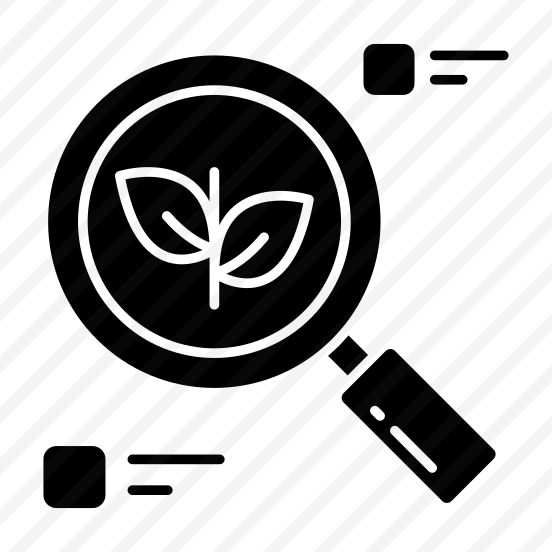 Search Leaf, Find Leaf, Leaf Analysis, Eco Analysis, Eco Exploration  preview